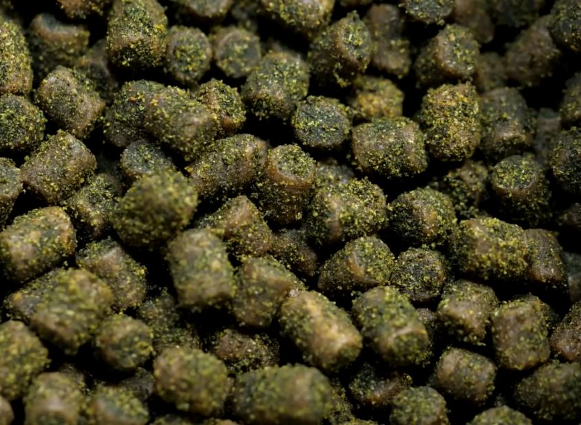 Dr Bassleer Biofish Food Green