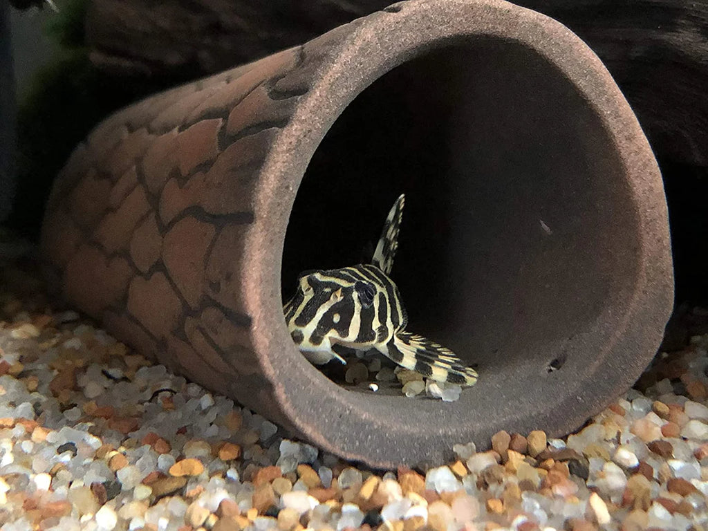Pleco Ceramics Breeding Cave